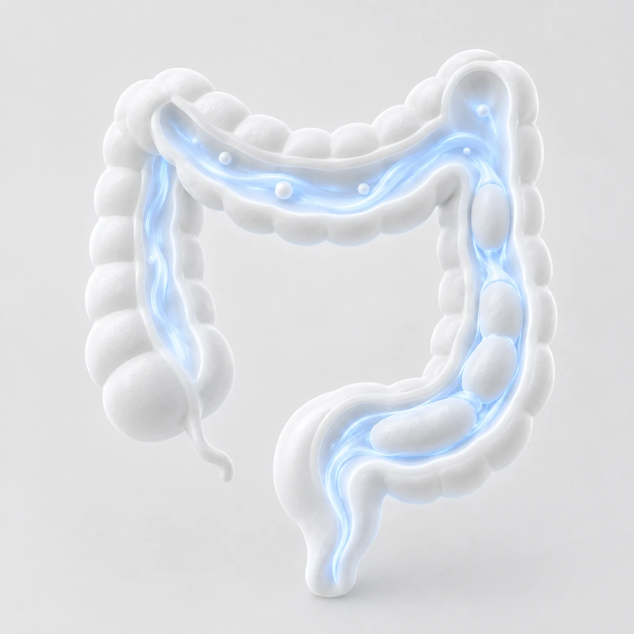 Regularidade e Microbiota