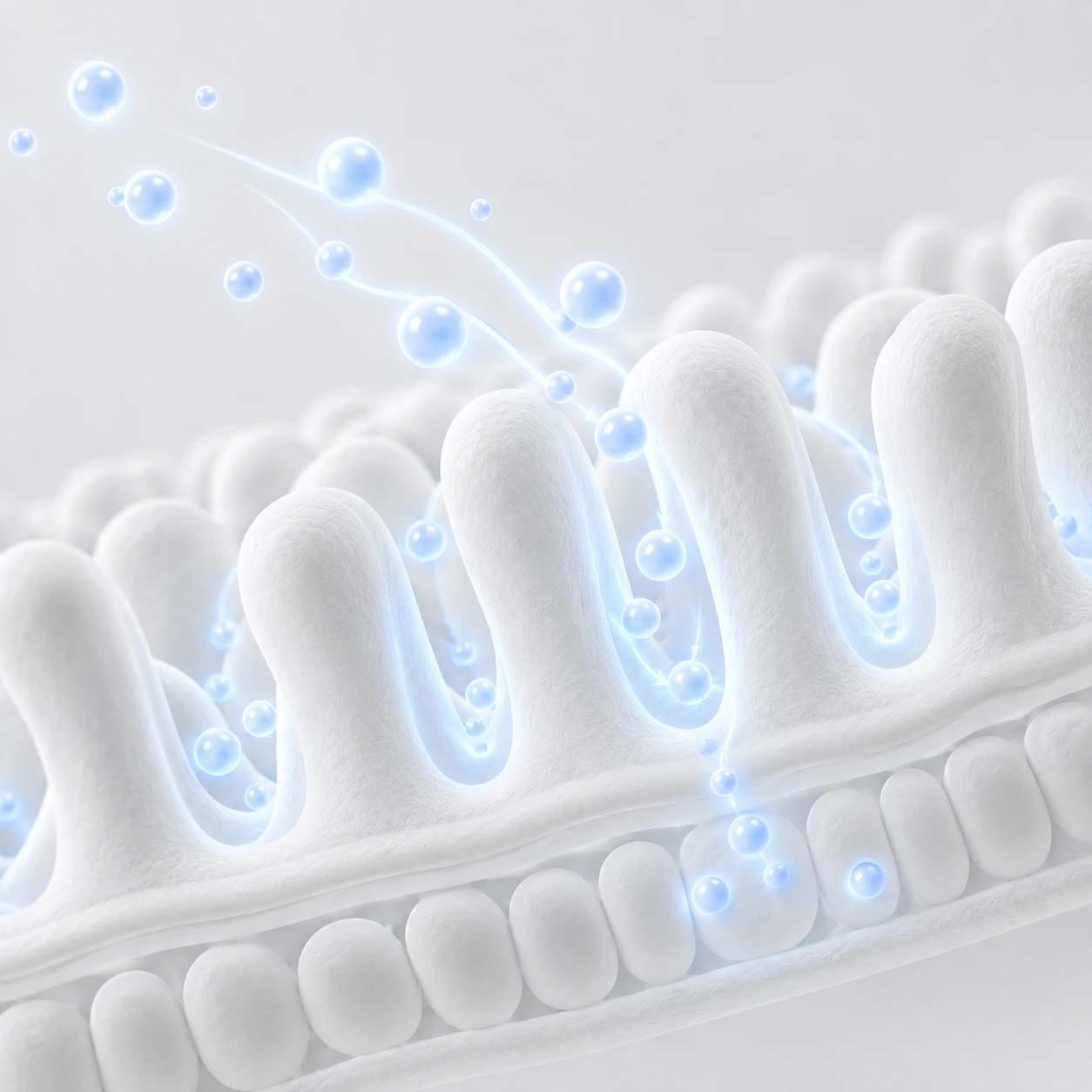 Metabolismo Otimizado